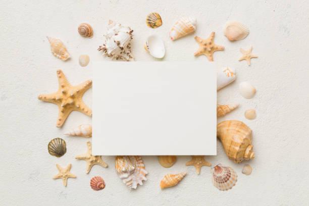istock Summer time concept with blank greeting card and blank white paper on colored background. Seashells from ocean shore in the shape of frame separated with space for text top view 1405193839