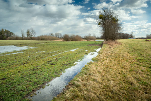 istock Puddles after rainfall on the field border 1405194371