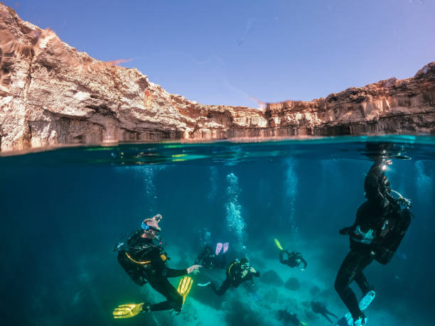 Scuba divers exploring and enjoying sea life stock photo