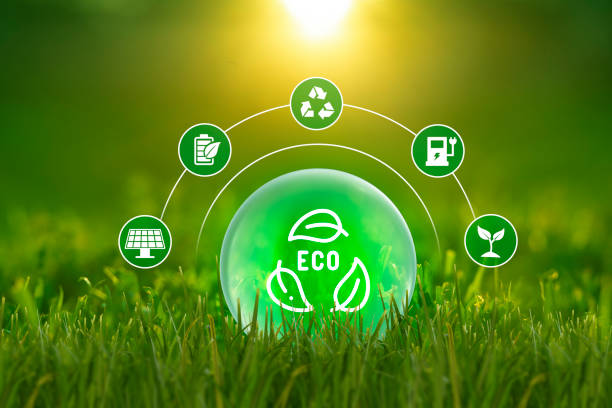 CO2 emissions carbon footprint climate change to limit global warming.
