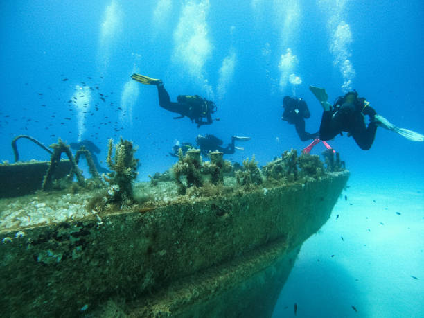 istock Scuba divers exploring huge ship wreck on the sea bottom 1405199674