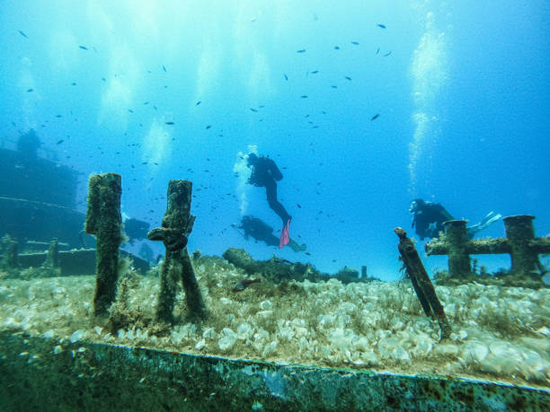 istock Scuba divers exploring huge ship wreck on the sea bottom 1405201217