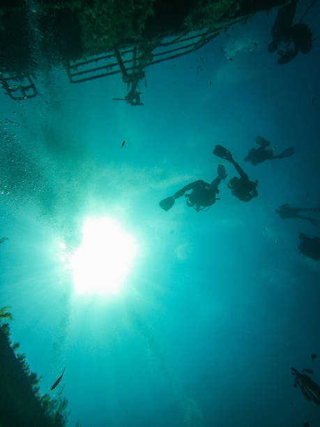istock Scuba divers exploring huge ship wreck on the sea bottom 1405202465