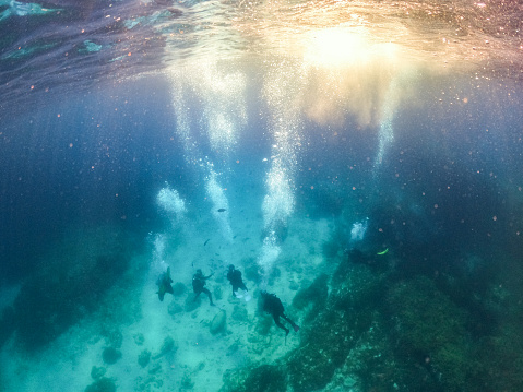 Underwater shot of group of male scuba divers exploring and enjoying sea life, view from above