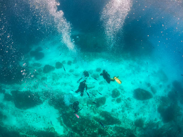 Underwater shot of group of male scuba divers exploring and enjoying sea life, view from above