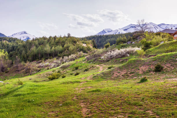 Nature of Alps