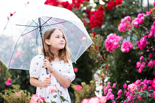 Happy cute kid child girl with long blonde hair holding transparent umbrella posing over rose flowers in park outdoor. Cheerful little toddler at city street wear romantic style dress. Summer rain