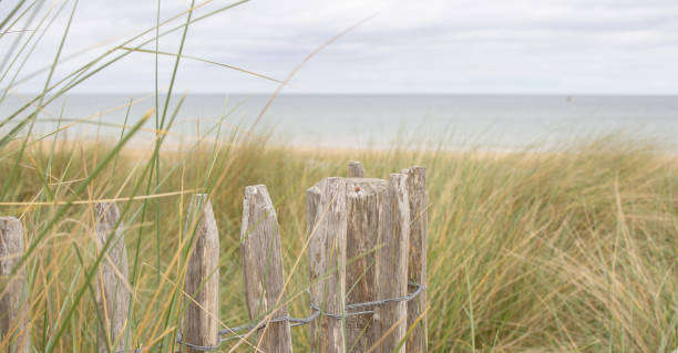 istock The beautiful landscape in Normandy 1405210624