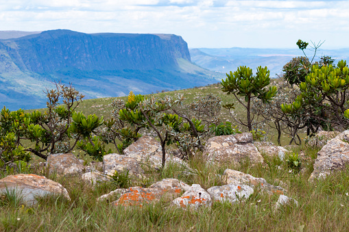 Somewhere in the land of the Masai, Kenya - March 24th 2022. Aerial view of a cliff and rock formation far away from civilization. No people visible, unfortunately no baboons either.