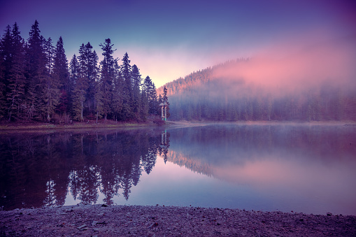 Fir trees around the lake in the autumn misty morning. Lake Synevyr in the Carpathian Mountains, Ukraine