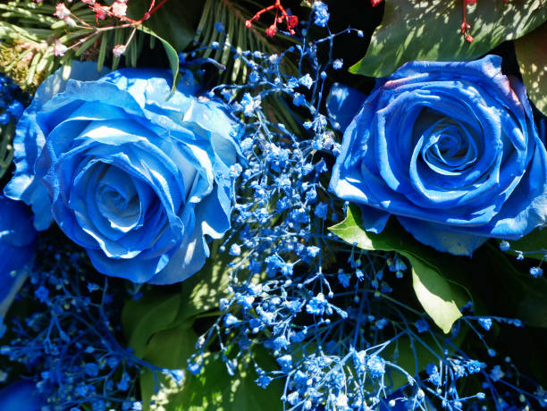 Blue roses part of a wreath