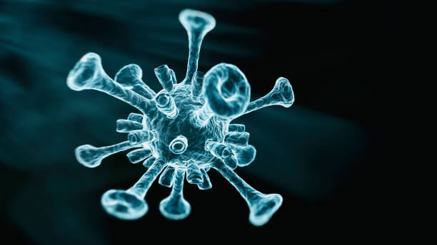 istock Viral Infection Monkeypox Virus 1405222240