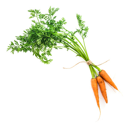 Orange, yellow, and purple organic carrots with tops on a white background. Vertical.