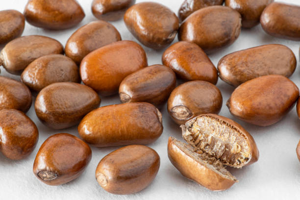 istock Close-up of pebe nuts 1405223650