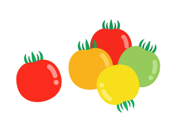 illustrazioni stock, clip art, cartoni animati e icone di tendenza di illustrazione di pomodoro da frutta vegetale. - cherry tomato