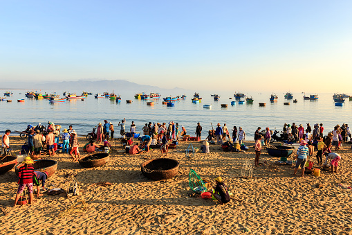This is Fish market Every morning on the beach in Vietnamese villages,
