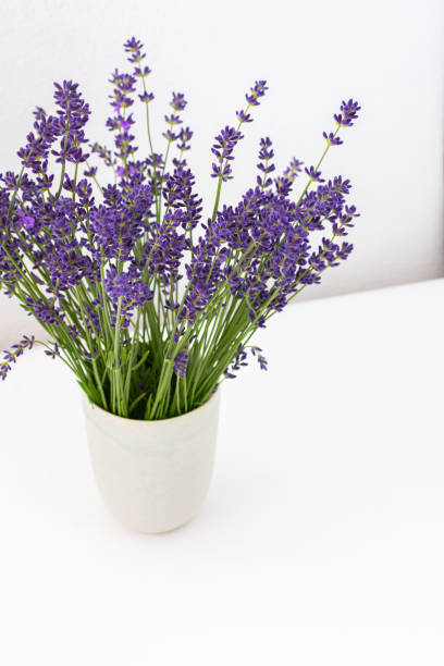 istock Lavender flowers in a vase 1405225908