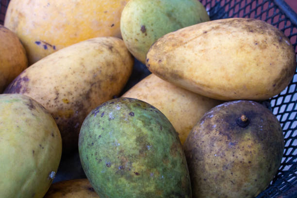 istock Close up rotten mango in basket 1405228756
