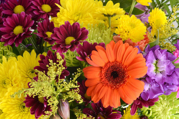 istock assorted summer flowers bouquet background 1405228856
