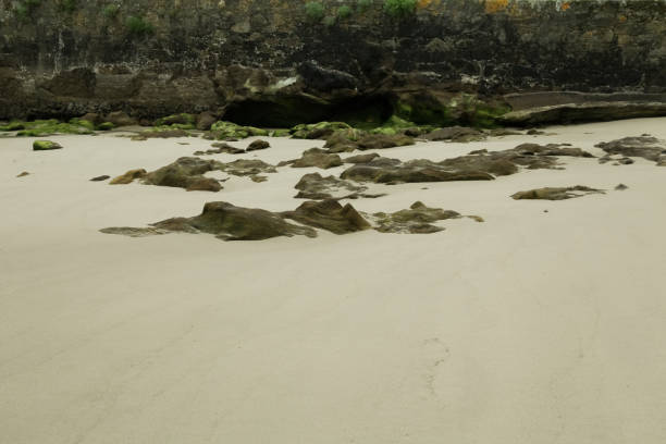 The seabed and its stones covered with silt during the olive.