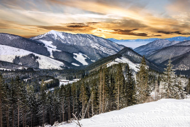 istock winter mountain forest snow sunset landscape 1405231555