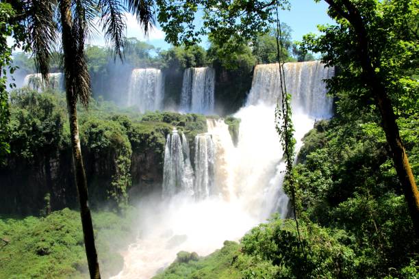cataratas do iguaçu - tropical rainforest tropical climate waterfall landscape - fotografias e filmes do acervo