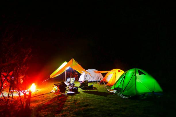 istock Comping tent at night in the forest. 1405236692