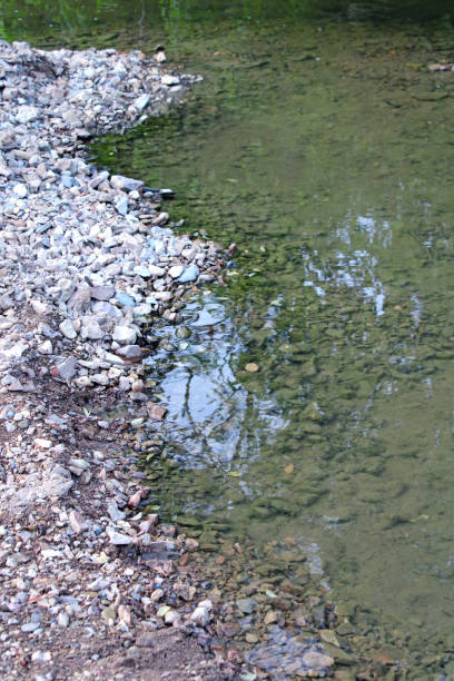istock Creek in Kentucky, USA 1405237719