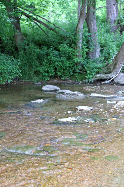 istock Creek in Kentucky, USA 1405237739