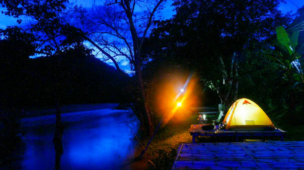 istock Comping tent at night in the forest. 1405239134