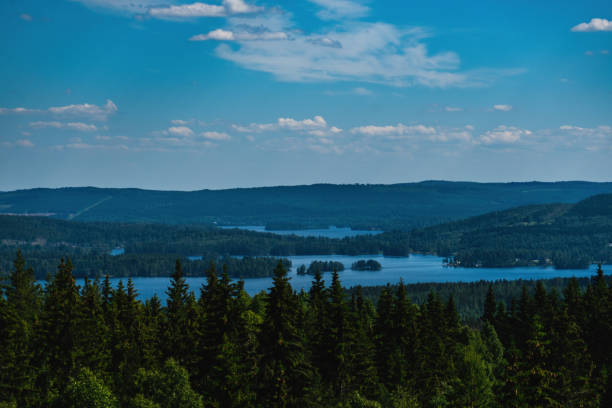 Close-up of landscape and lake
