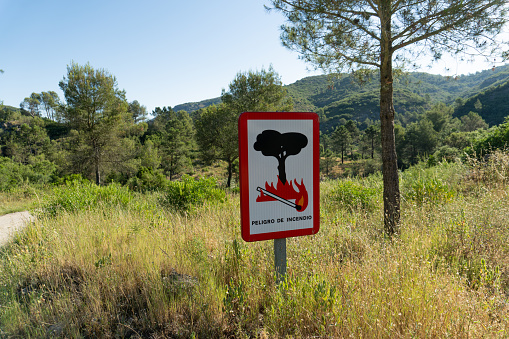 Informative poster with the phrase -fire danger-. in the forest.