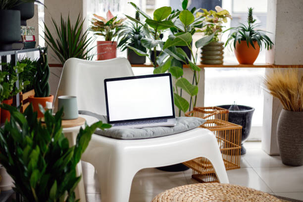 istock Laptop on chair in Botanic Shop 1405240952