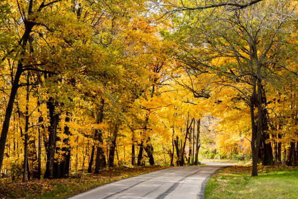 istock A rural road in the autumn 1405242778