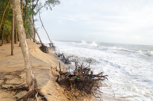 Sea Erosion at Kanvatheertha Beach, Mangalore