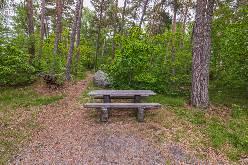 Close up view of table with bench on hiking trail in forest for rest. Sweden.