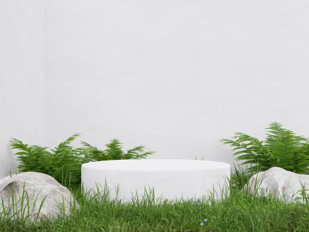 istock White circle pedestal in tropical forest for product presentation and white plaster wall. 1405246095