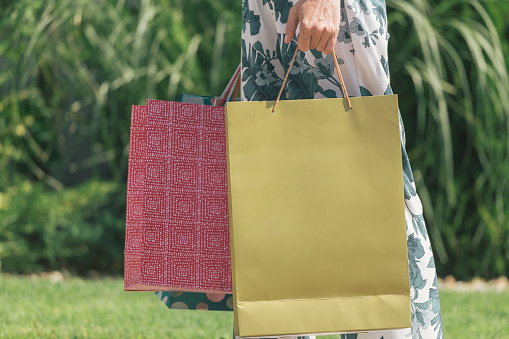 Adult female in shopping. Empty surface on shopping bag can be used as copy space