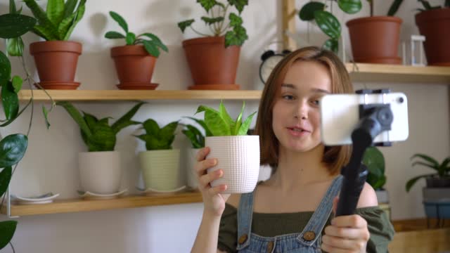 A young woman blogger filming her houseplants. Home gardening concept.