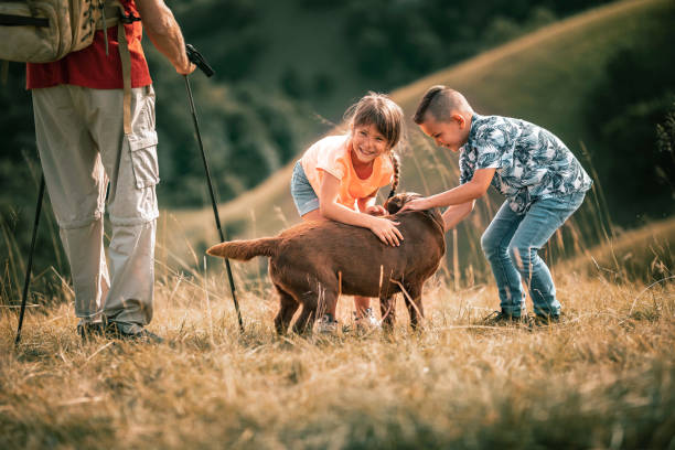 istock brother and sister play in nature 1405249847