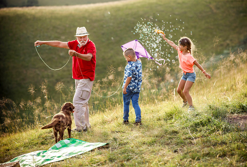 Grandparents and grandchildren play in nature with kite