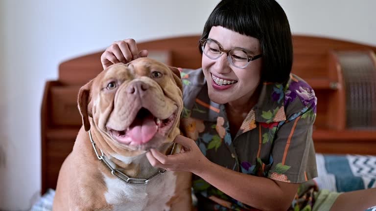 Woman embracing  cute dogs  with love at home