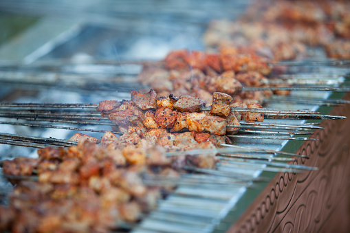 barbecue shish kebab