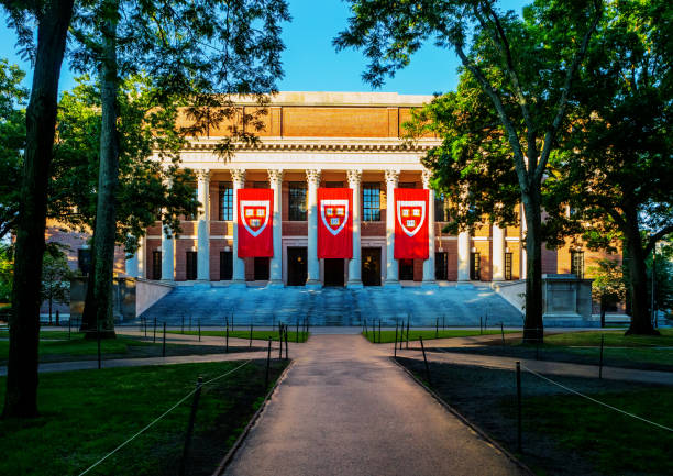 harry elkins widener memorial library o świcie - harvard yard - harvard university - cambridge massachusetts - massachusetts boston harvard university sign zdjęcia i obrazy z banku zdjęć