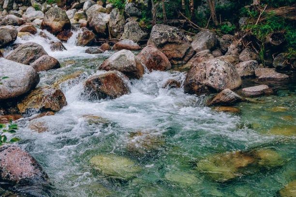 istock Scenic summer landscape - mountain river in a forest 1405261382