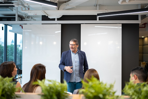 Businesswoman having a speech during business conference in lecture hall