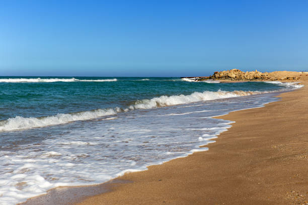 istock Foamy surf on a sandy tropical beach 1405262328