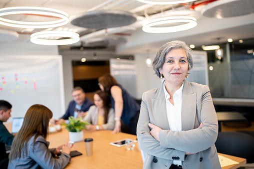 Portrait of a business woman during a meeting