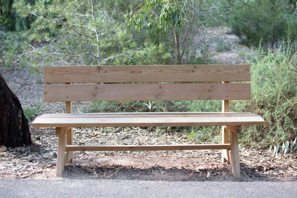 istock Wooden bench in a park 1405263038