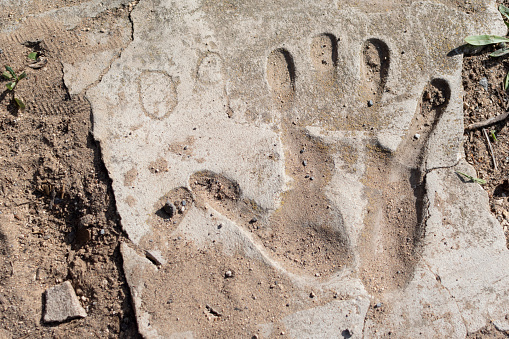 Close-up of a handprint, Spain